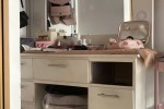 Cama, tocador, algunas cosas personales y voy von mi perro en cabina (...